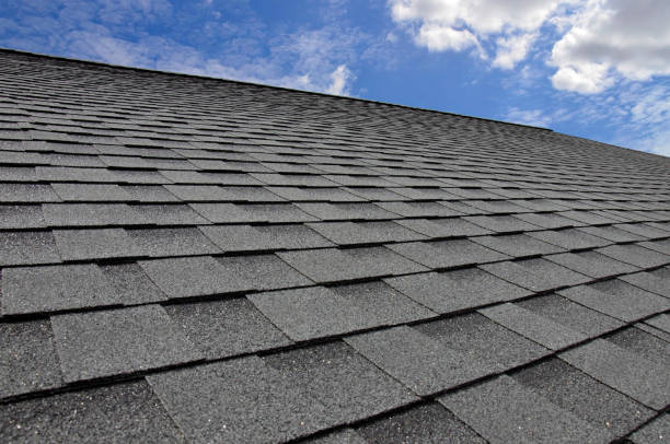 Professional Roofing Service in Sturgeon Bay, WI
